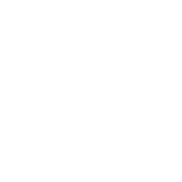 Search