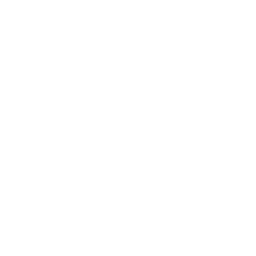 Launch